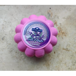 GENERAL FRESH - Lilac - DÉSODORISANT GEL FRESH 150 G